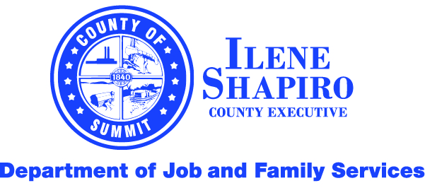 Ilene Shapiro: County Executive